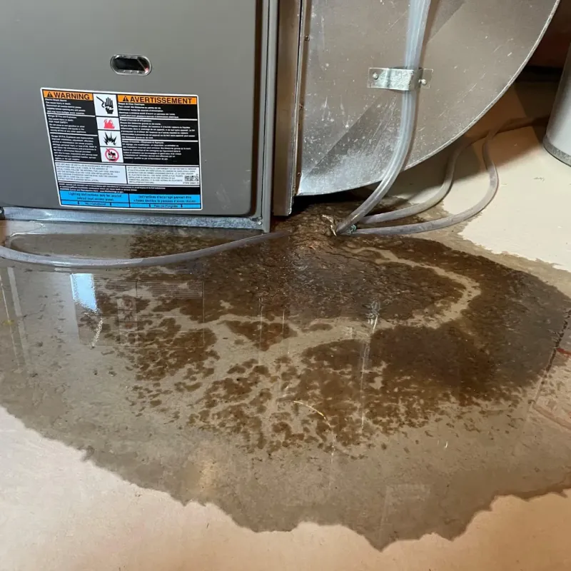 Appliance Leak Cleanup in Oak Island, NC